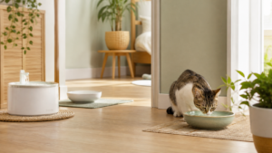 猫の水飲み環境を見直す5つのポイント